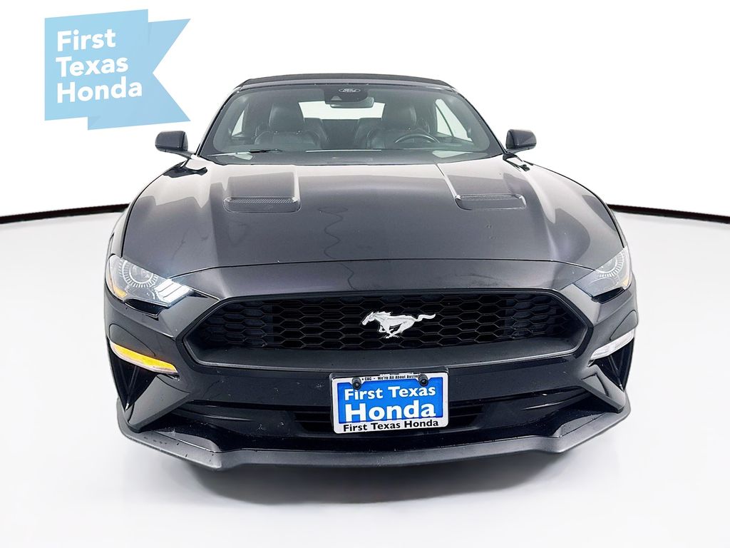Used Car 2023 Ford Mustang  Ecoboost Premium For Sale Under $25,000 In Austin, Texas