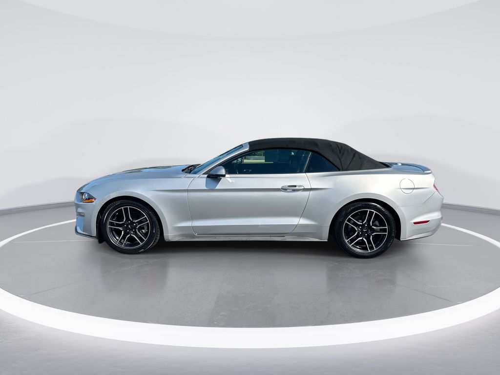 2019 Ford Mustang EcoBoost Premium - 4