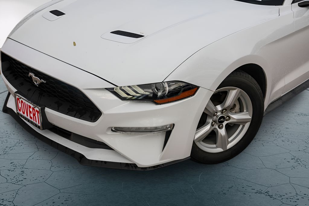 Used Car 2019 Ford Mustang  Ecoboost For Sale Under $20,000 In Austin, Texas