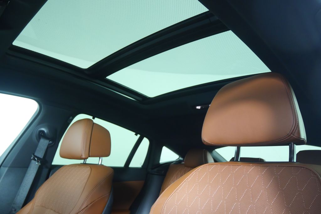 Thumbnail: 2024 BMW X6 - 12