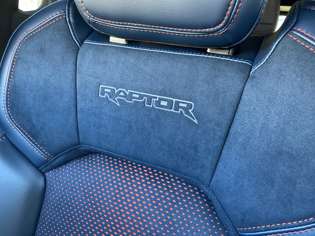 New 2025 Marsh Gray Ford Raptor image 12