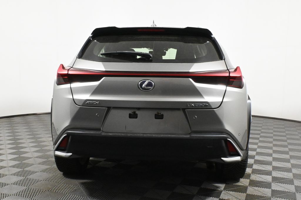 2019 Lexus UX 250h 6