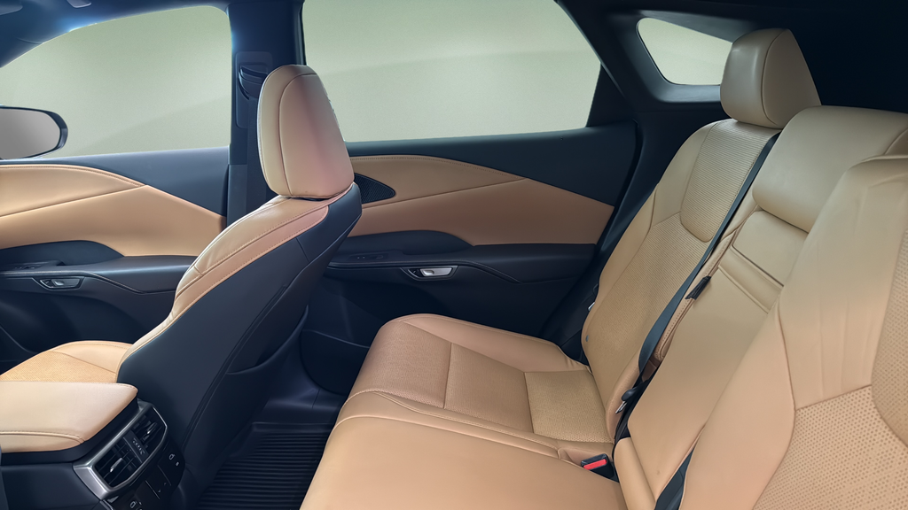 2024 Lexus RX