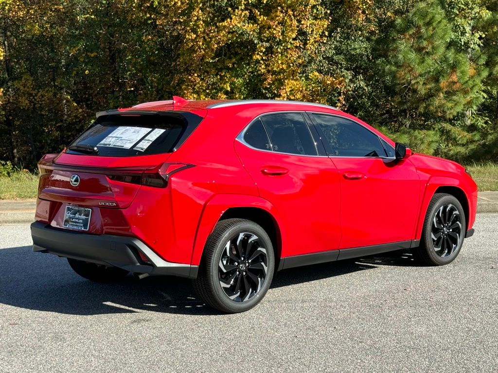 2025 Lexus UX 300h Premium 13