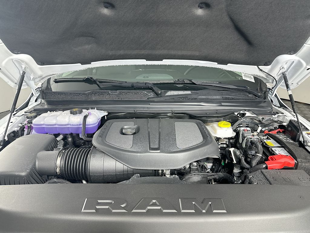 New 2026 White Ram Big Horn 12in image 18