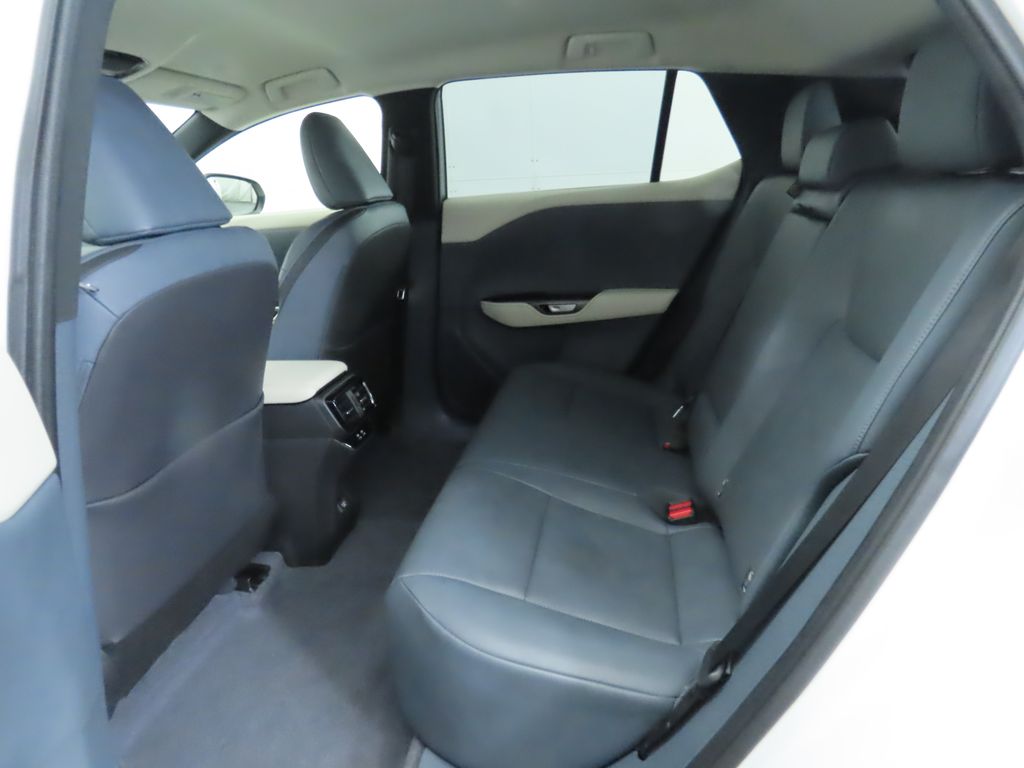 2024 Lexus RZ 300e 22