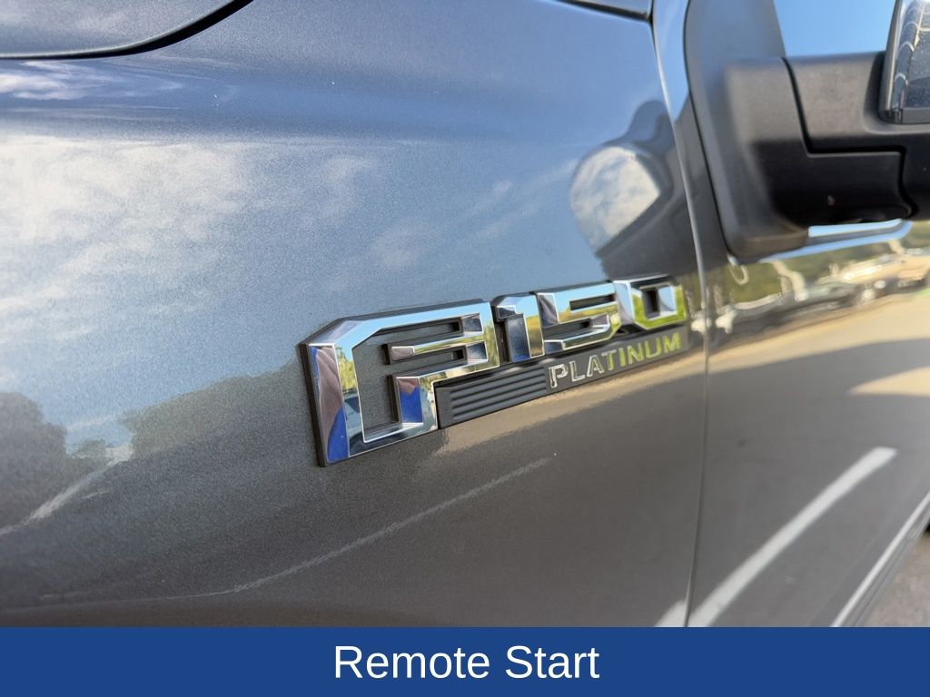 2020 Ford F-150 Platinum