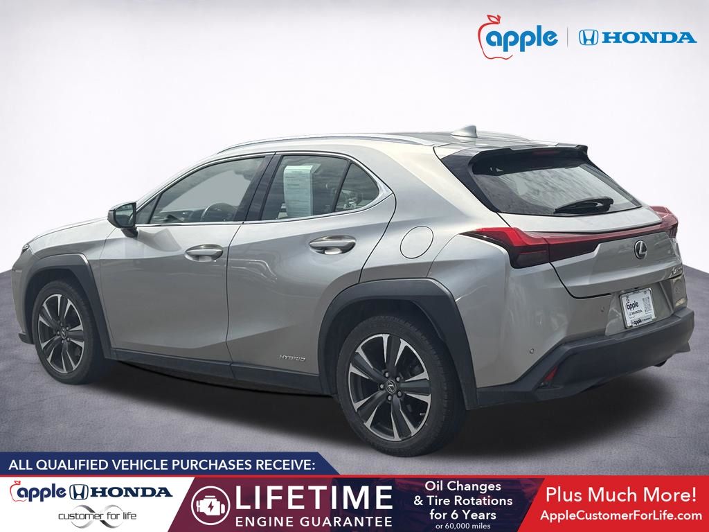 2019 Lexus UX 250h 