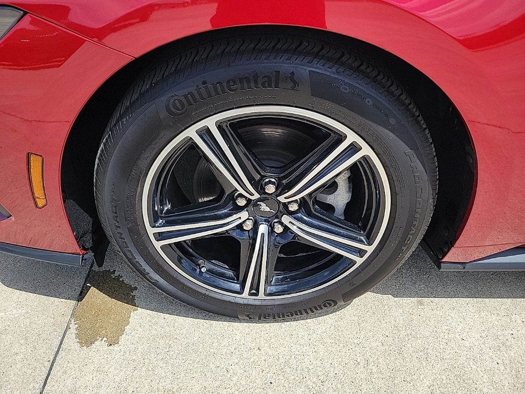 Used 2024 Ford Mustang Coupe