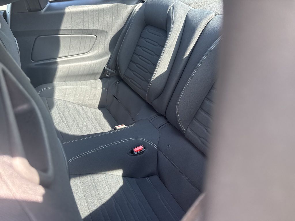 2022 Ford Mustang Mach 1 photo 6