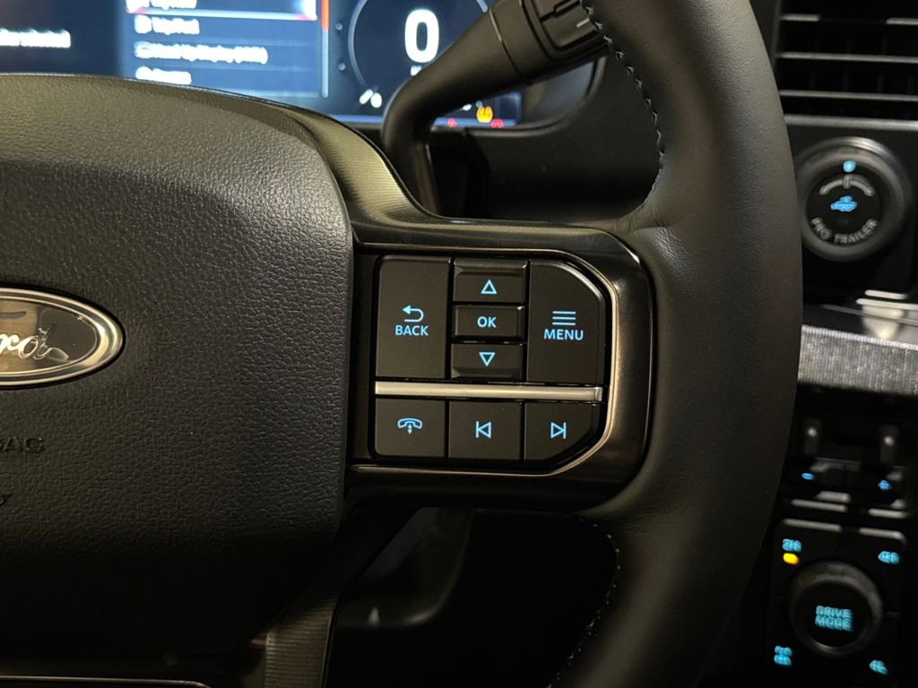 New 2026 Gray Ford Platinum image 39
