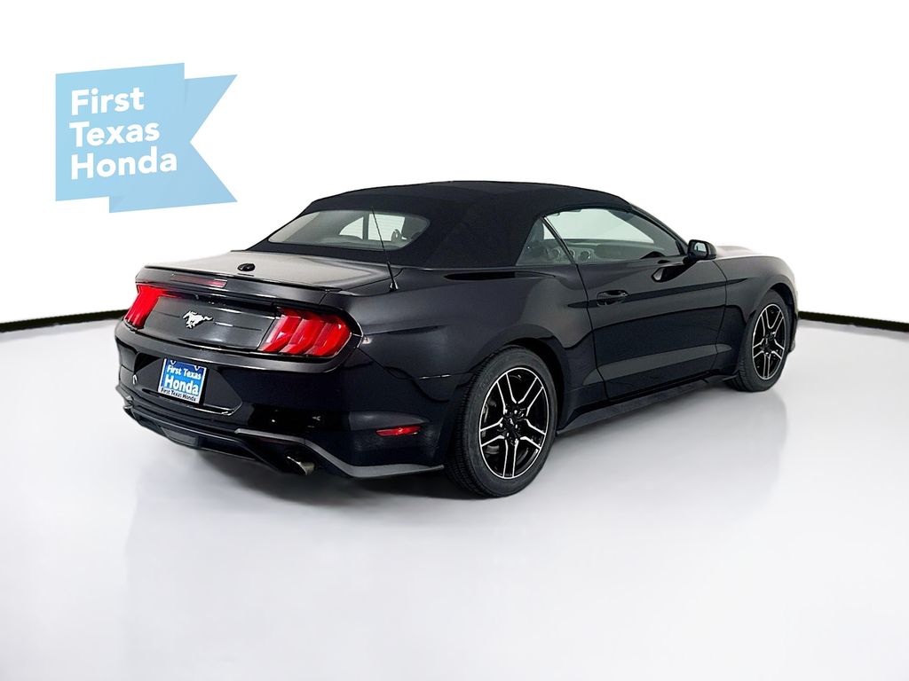 Used Car 2023 Ford Mustang  Ecoboost Premium For Sale Under $25,000 In Austin, Texas
