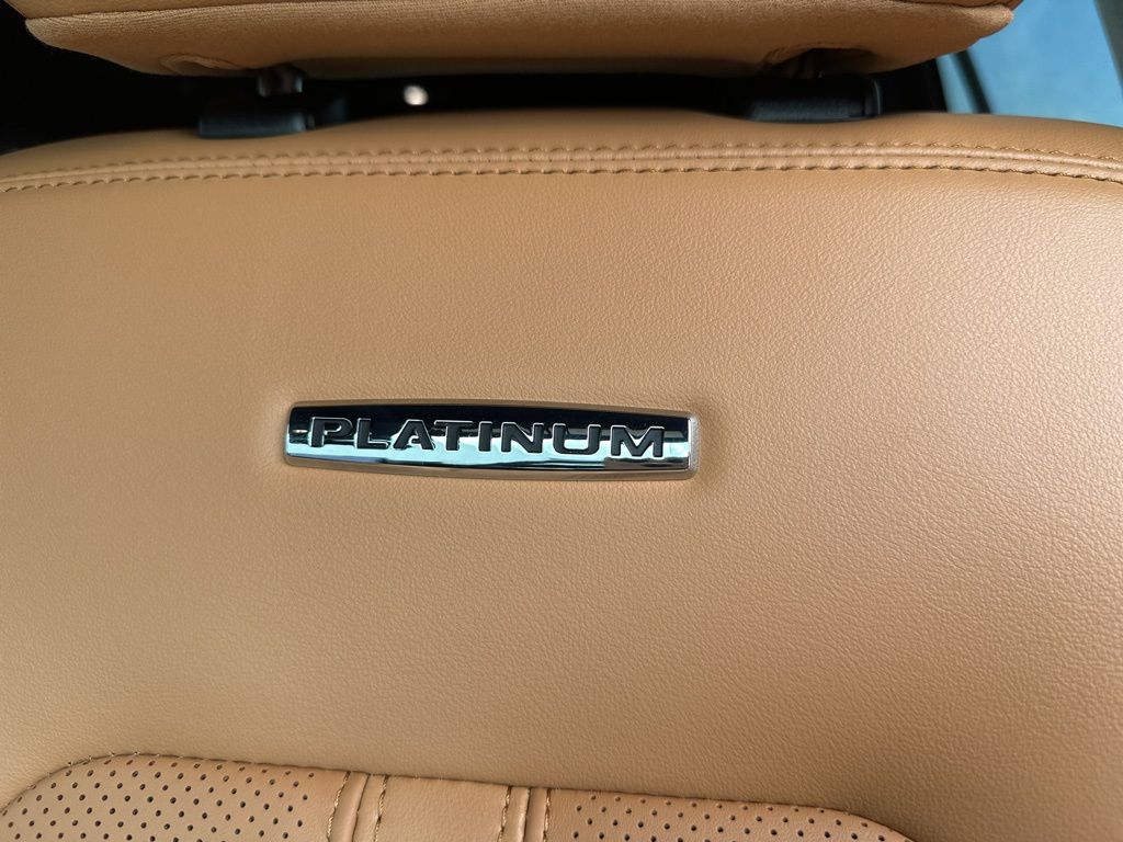 2024 Ford Expedition Platinum 18