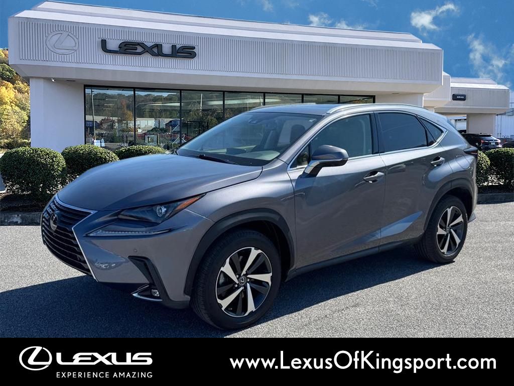 Gray Pearl 2021 Lexus NX 300 AWD SUV / Crossover All-Wheel Drive 6-Speed Automatic