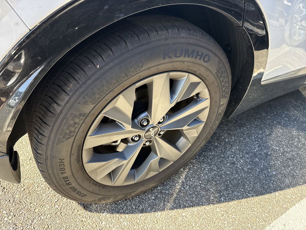 Used 2024 Kia Sportage SUV