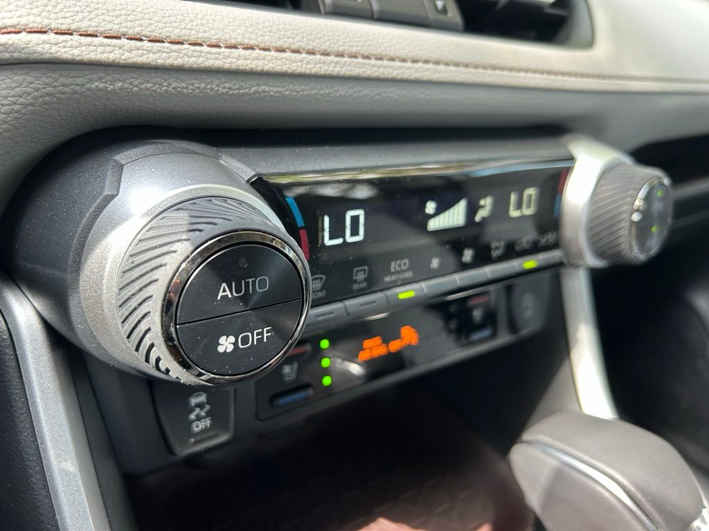 2024 Toyota RAV4 Limited 19