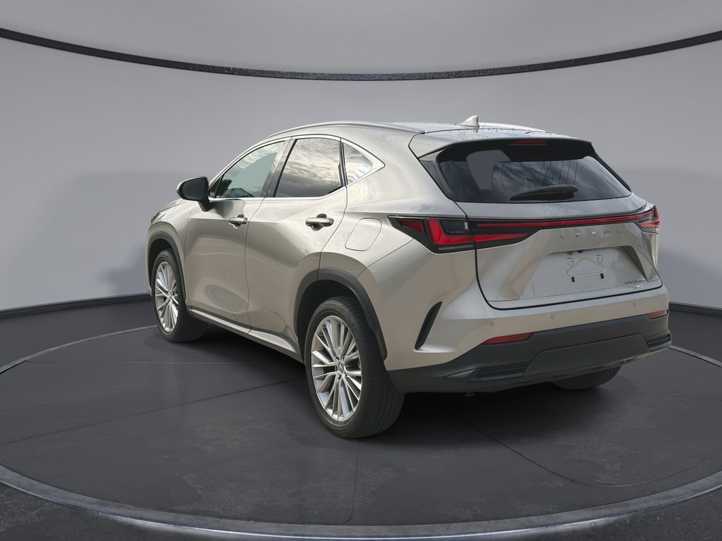 Thumbnail: 2023 Lexus NX - 10