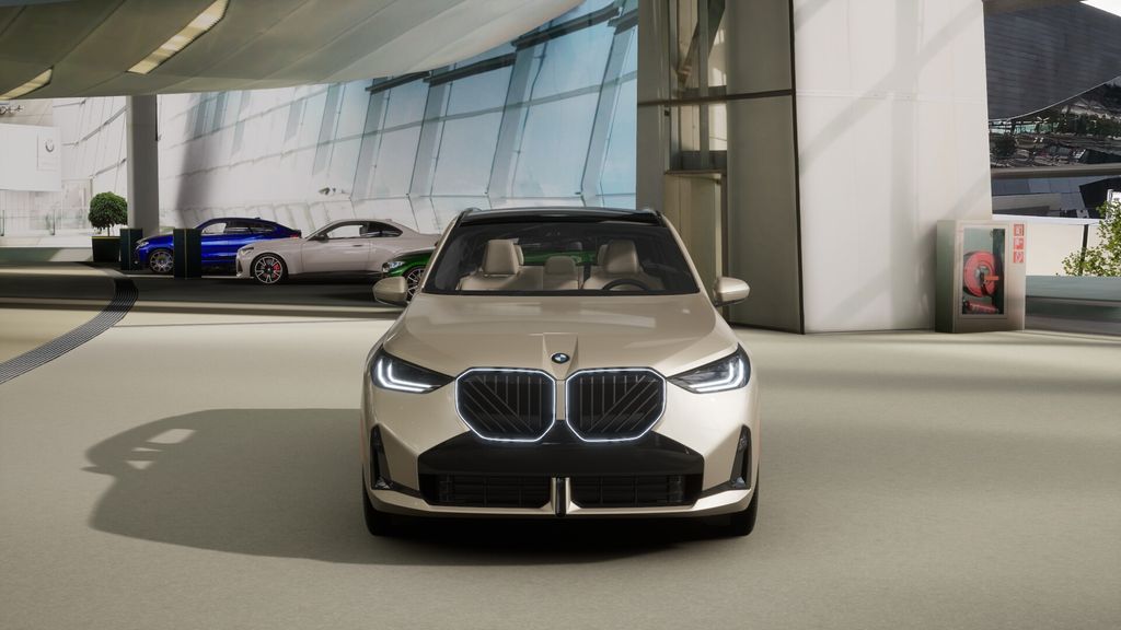 Thumbnail: 2025 BMW X3 - 3