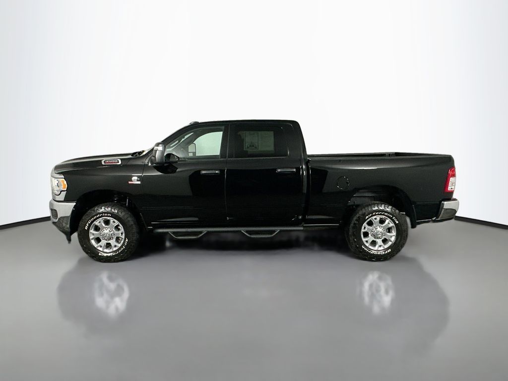 Used 2024 Black Ram Tradesman image 4