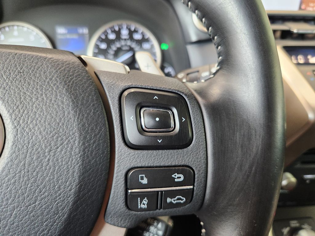 2019 Lexus NX 300 Base Gray at Emmons Autoplex