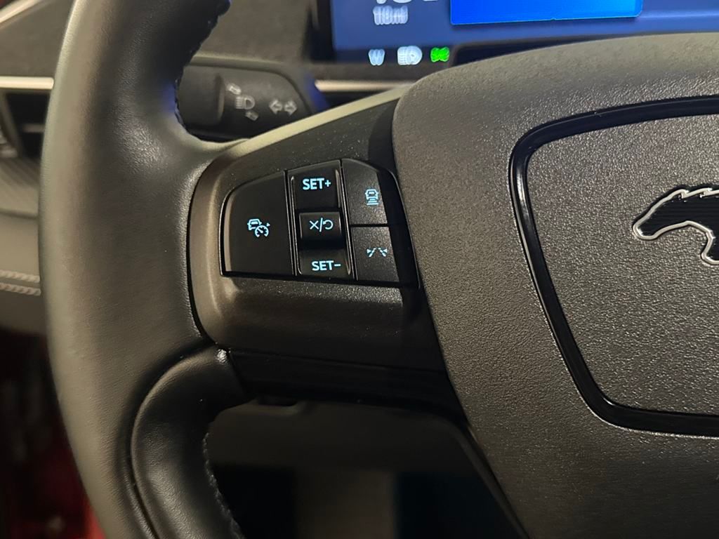 2024 Ford Mustang Mach-E Premium photo 14