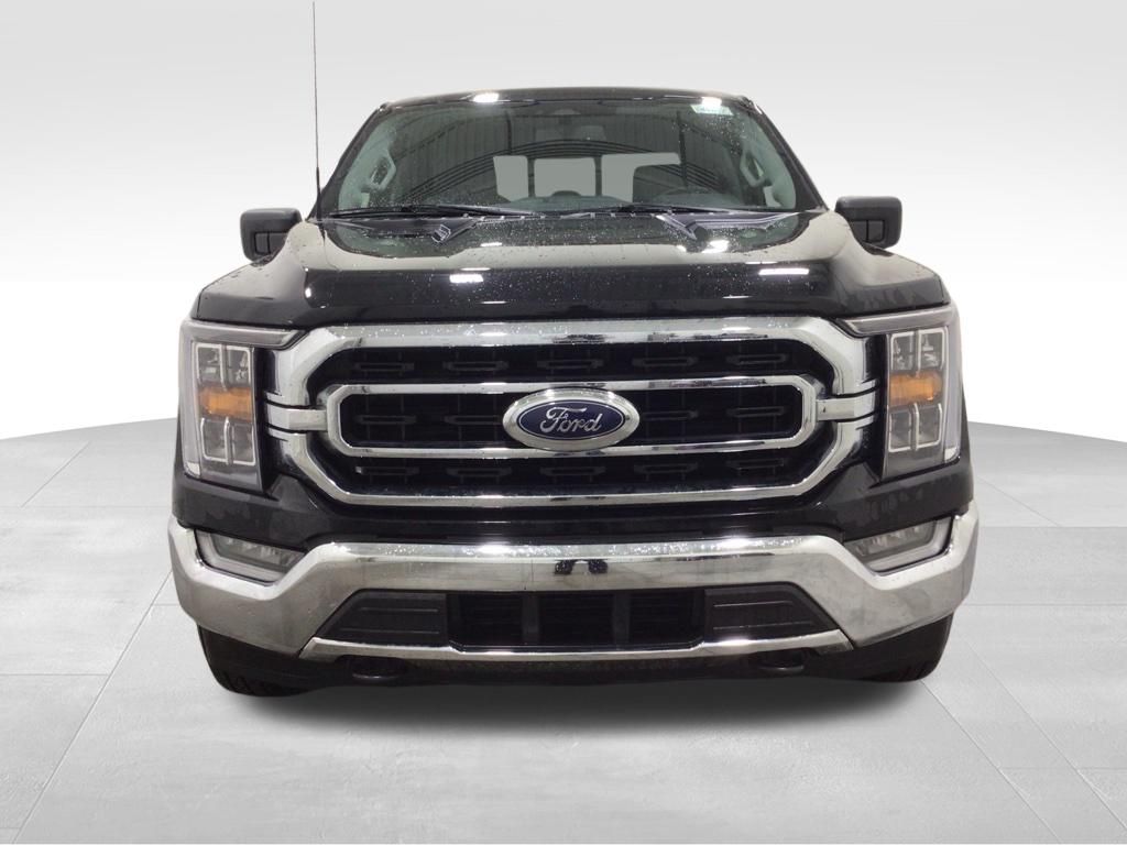 Used 2023 Ford F-150 Truck
