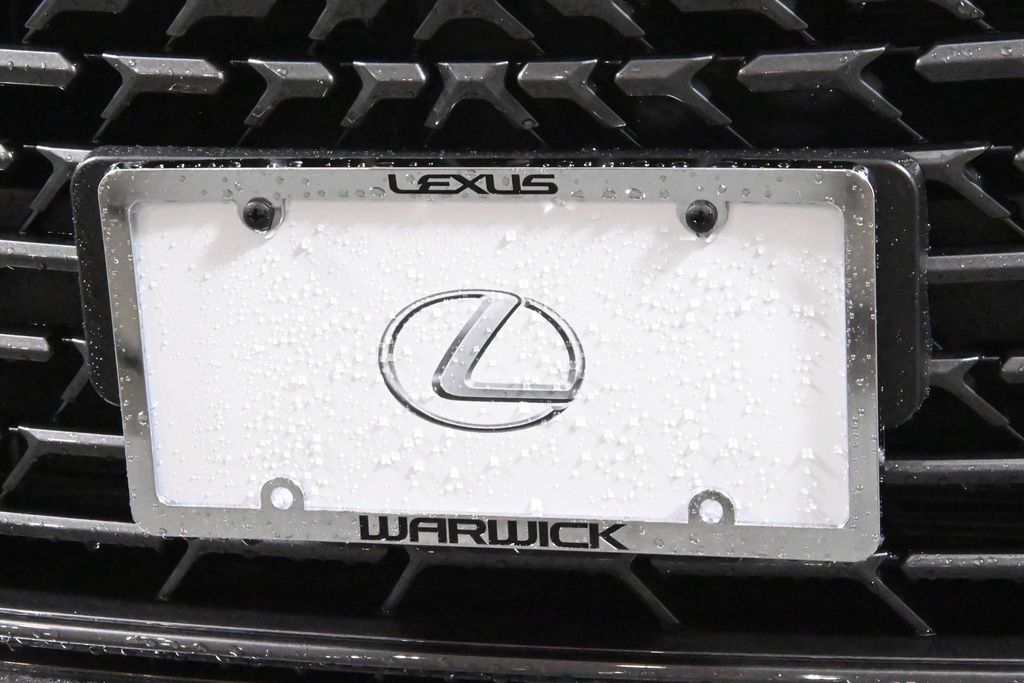 2025 Lexus UX 300h 14