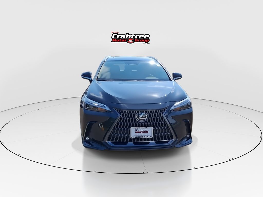 Used 2024 Lexus NX SUV