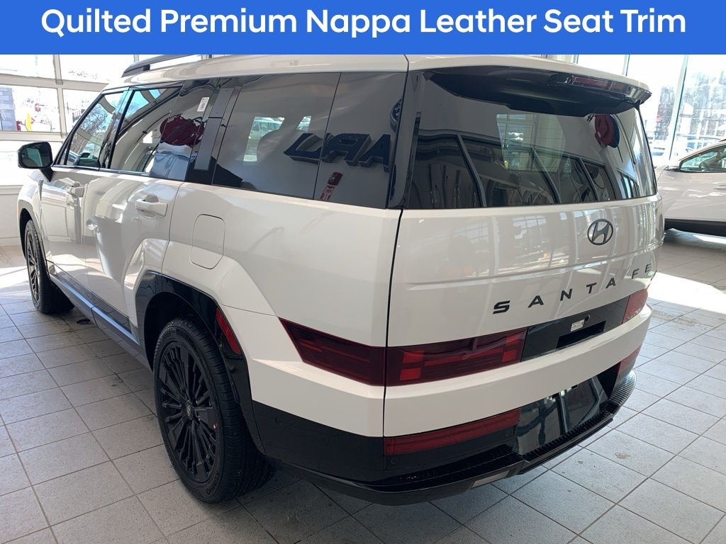 New 2026 White Hyundai Calligraphy image 13