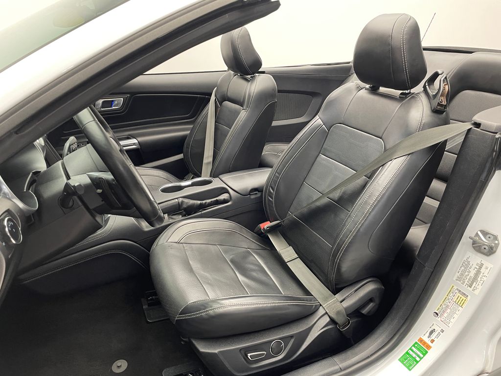 Thumbnail: 2019 Ford Mustang - 20