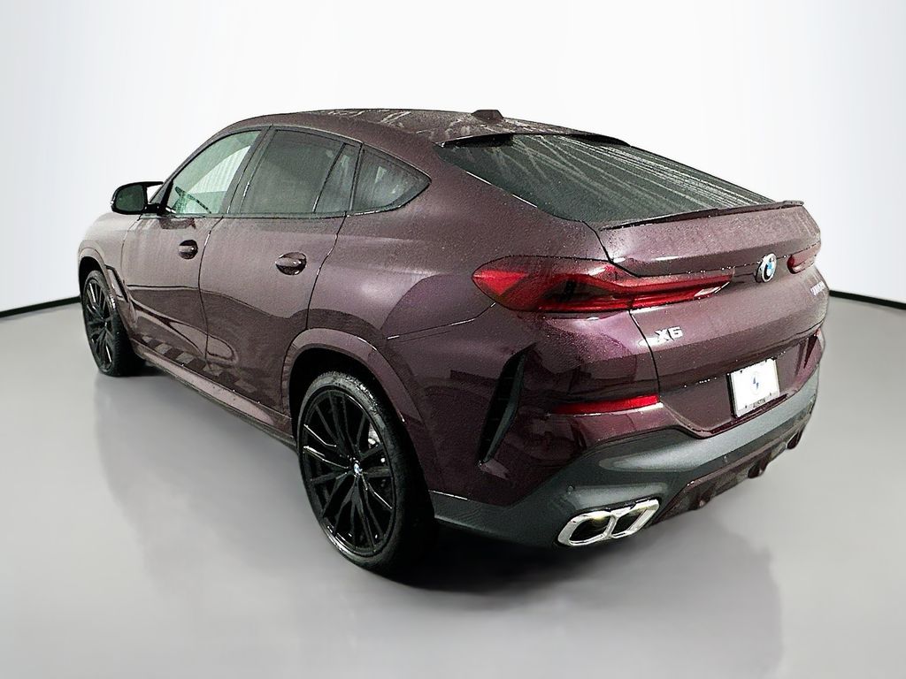 2025 BMW X6  7