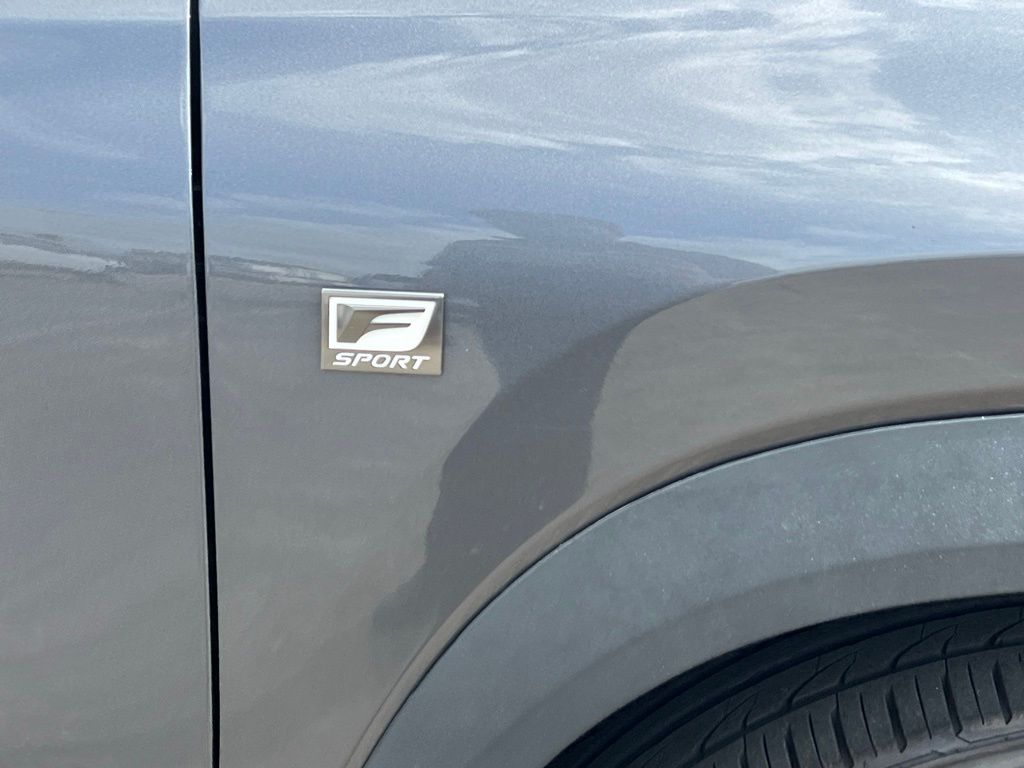 2020 Lexus NX 300 F Sport - 6