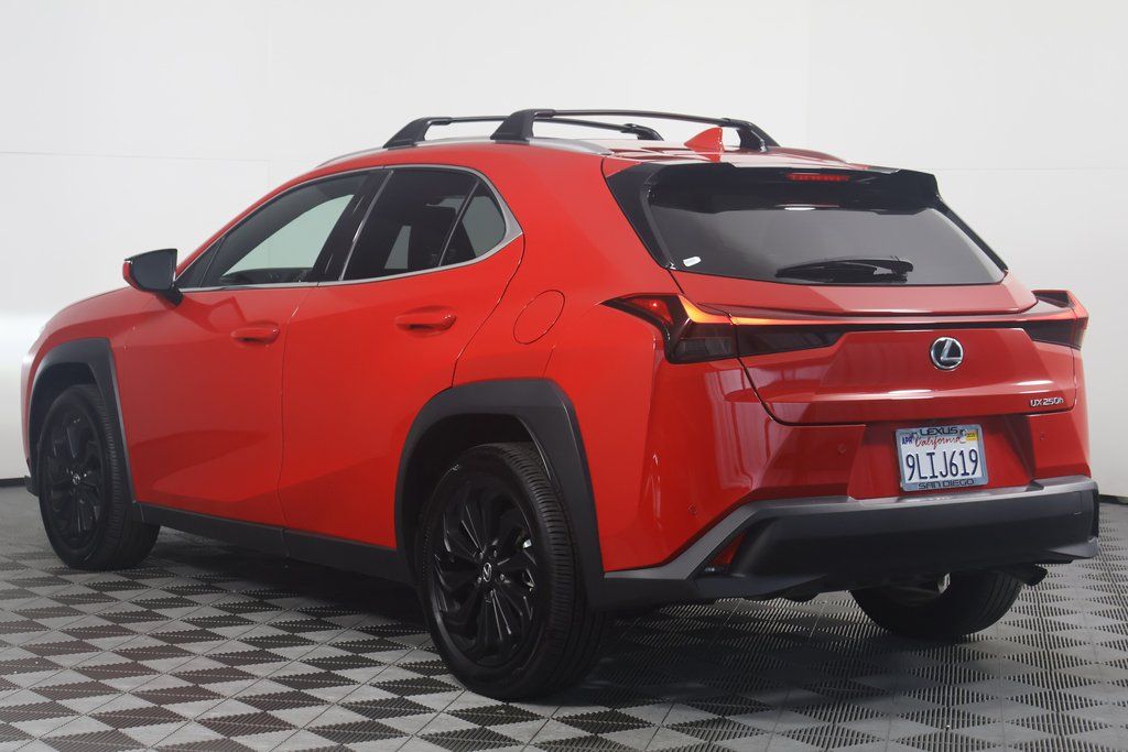 2024 Lexus UX 250h 6