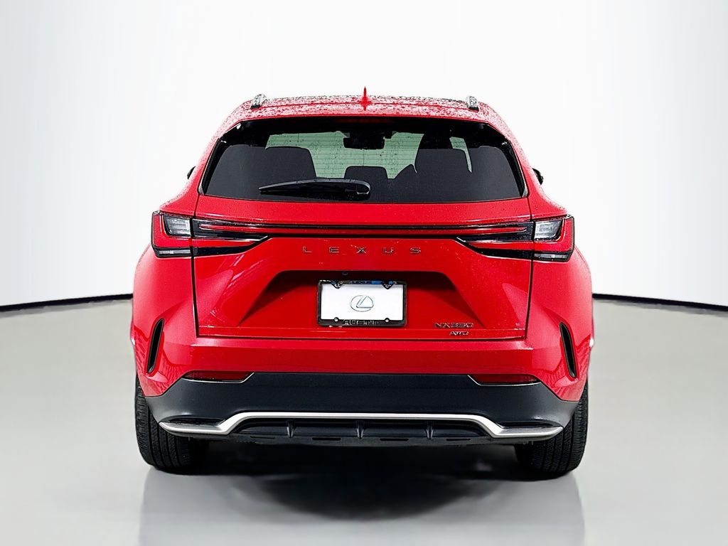 2023 Lexus NX  6