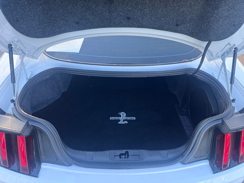 2019 Ford Mustang Shelby GT350