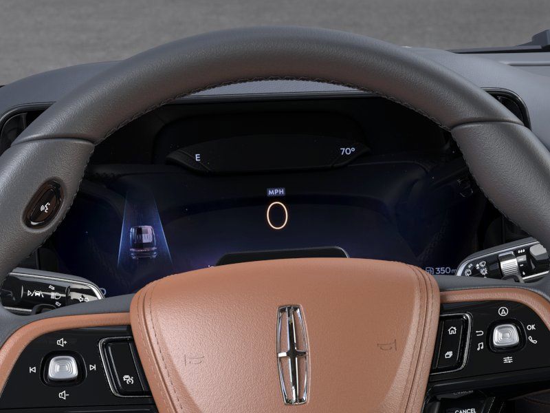 New 2026 Black Lincoln Black Label image 13