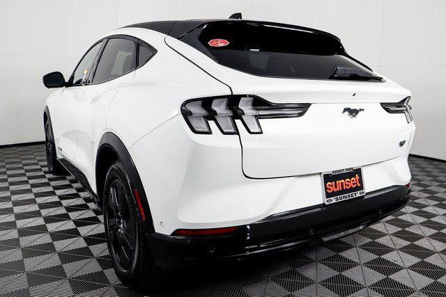 New 2023 White Ford California Route 1 image 10