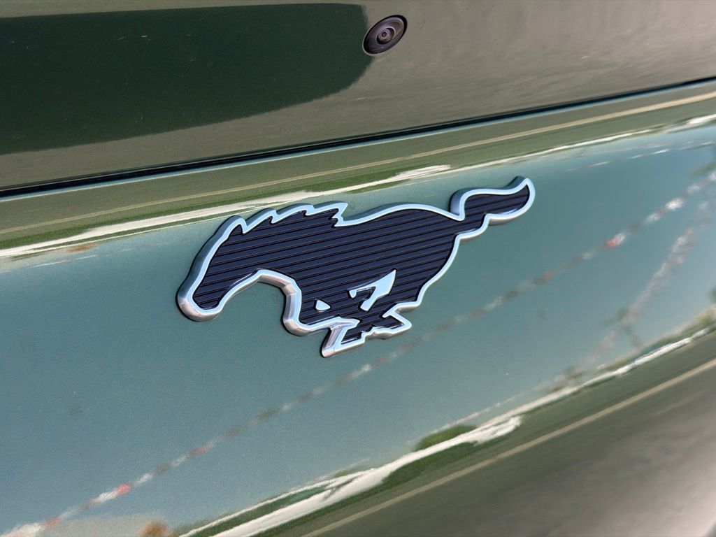 Used 2025 Ford Mustang Mach-E SUV