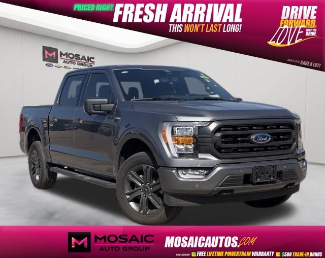 Gray 2023 Ford F-150 Pickup Truck Four-Wheel Drive Automatic