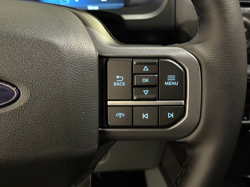 2025 Ford F-150 Lightning photo 29
