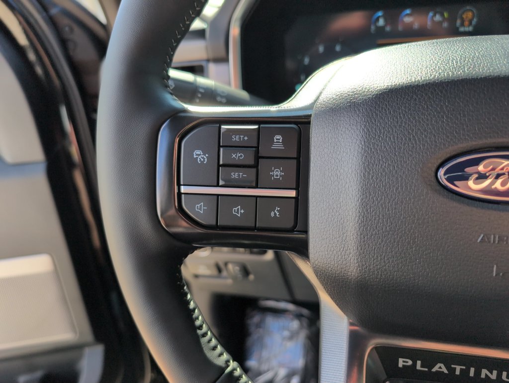 New 2026 Black Ford Platinum image 31