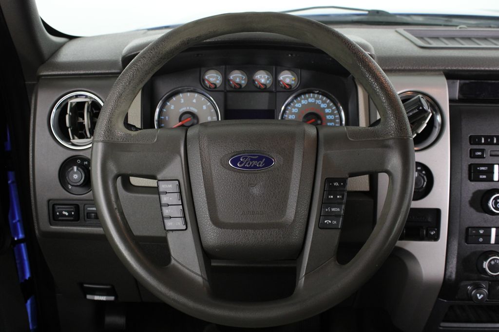Used 2010 Ford F-150 for sale in 