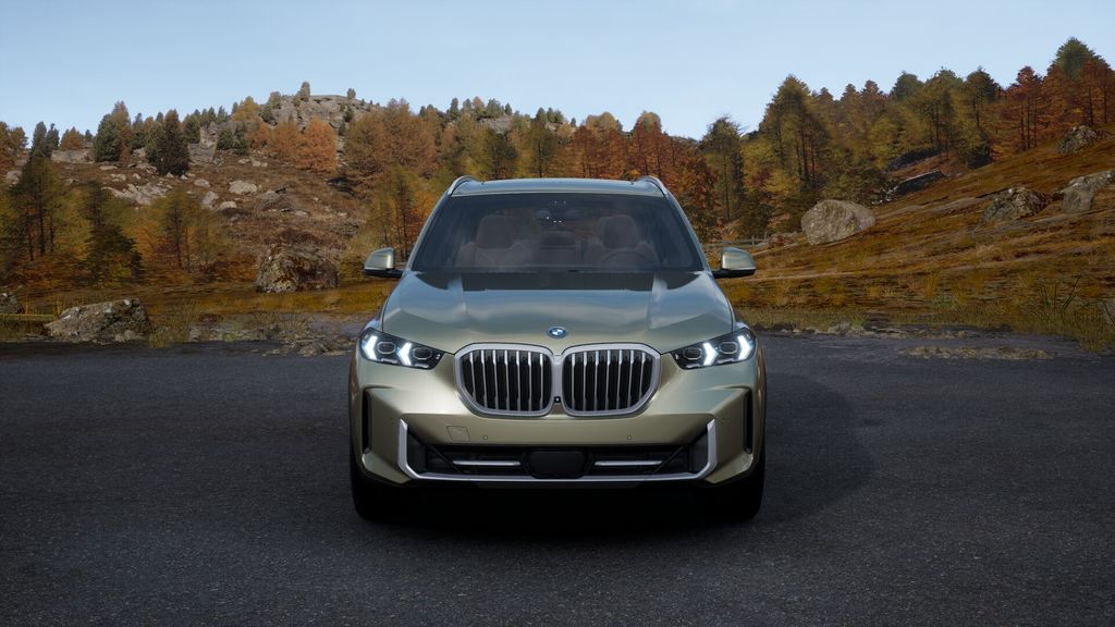 2025 BMW X5 xDrive50e 32