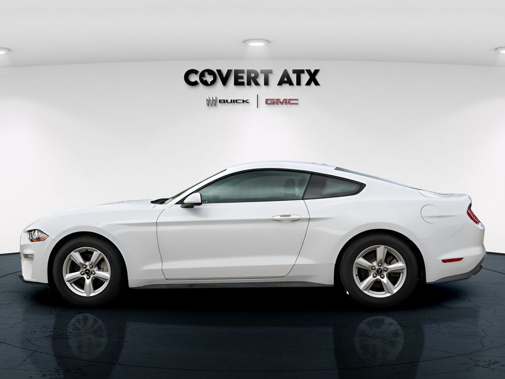 Used Car 2019 Ford Mustang  Ecoboost For Sale Under $20,000 In Austin, Texas