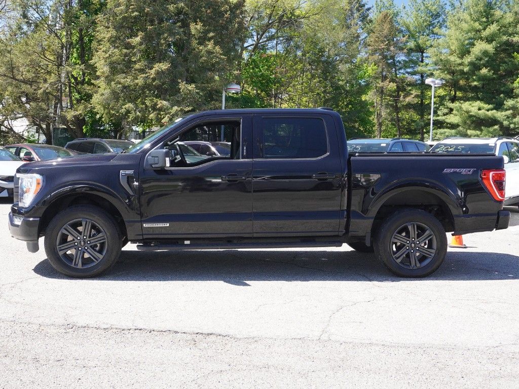 Used 2023 Black Ford XLT image 19