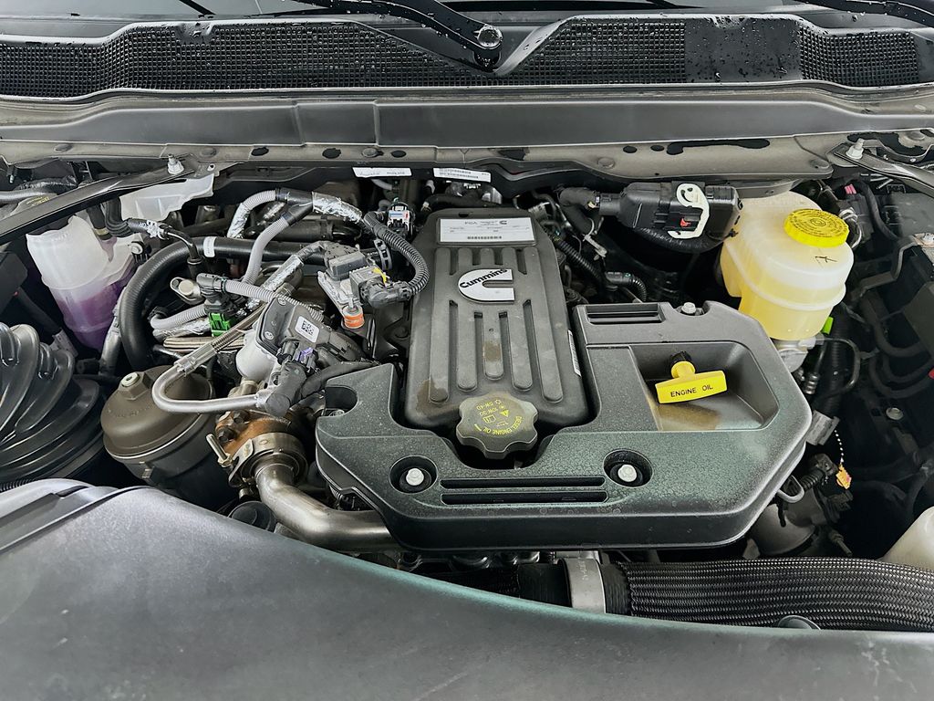 New 2026 Gray Ram Big Horn 12in image 18