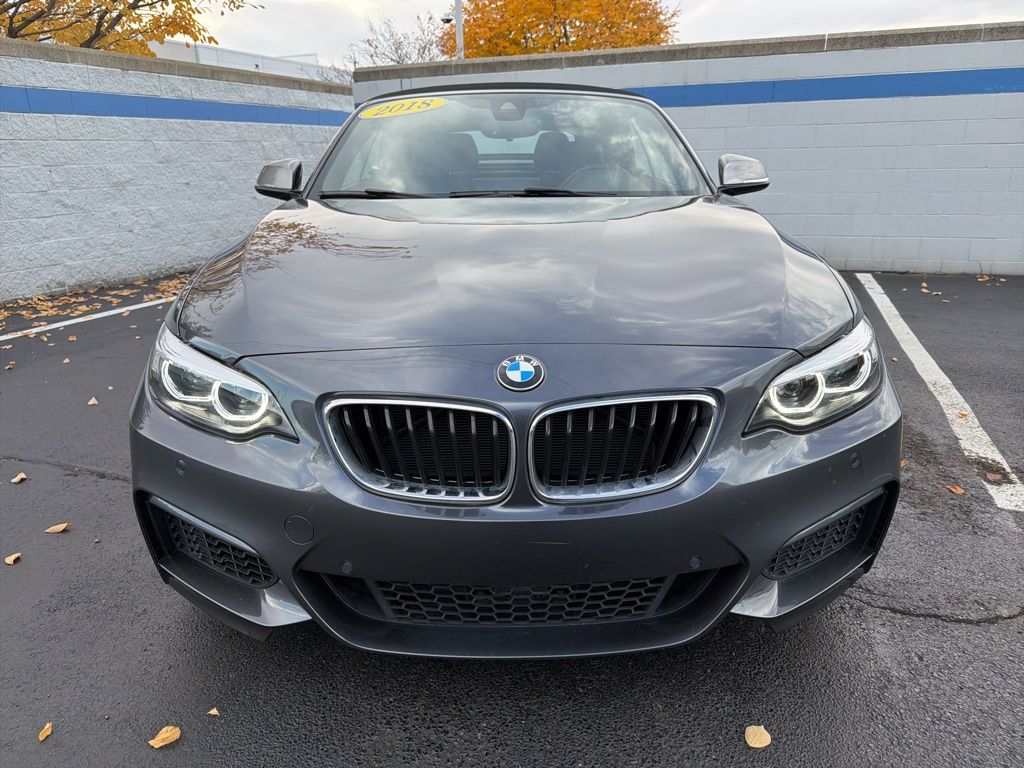 Thumbnail: 2018 BMW 2 Series - 8