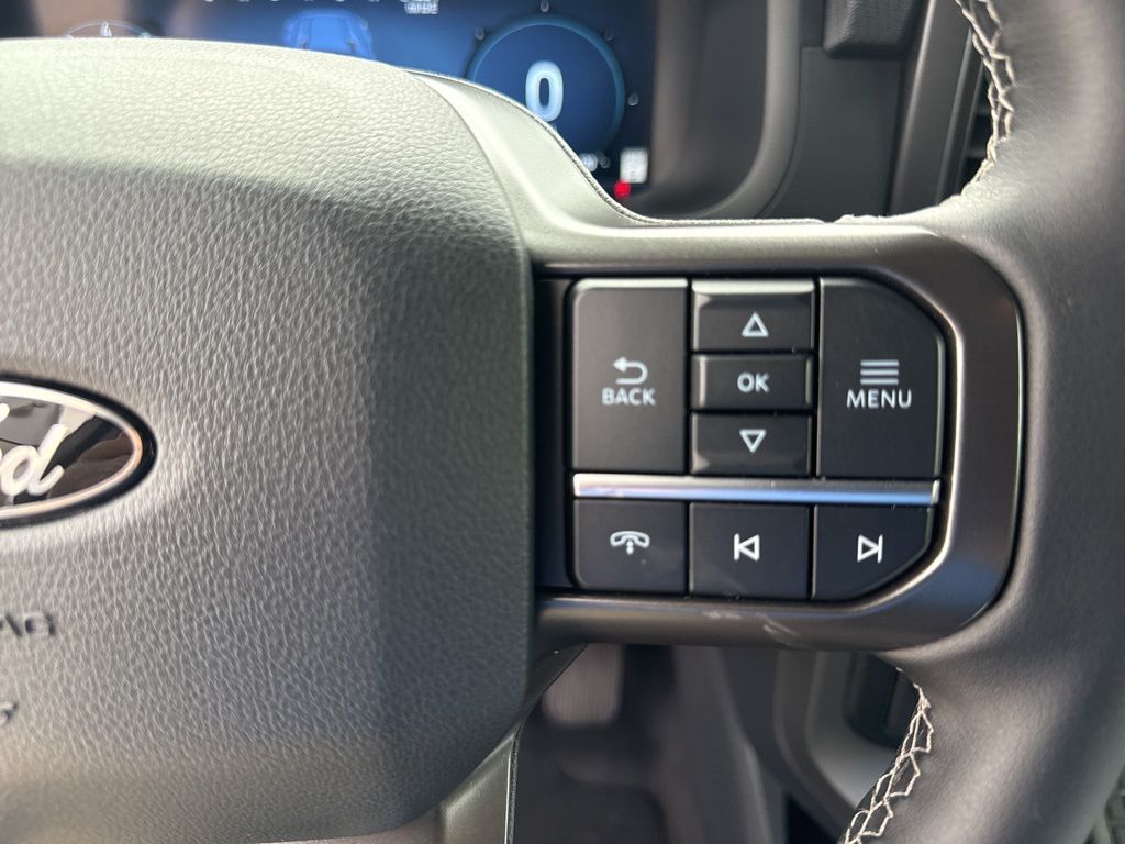 2024 Ford F-150 Black Widow