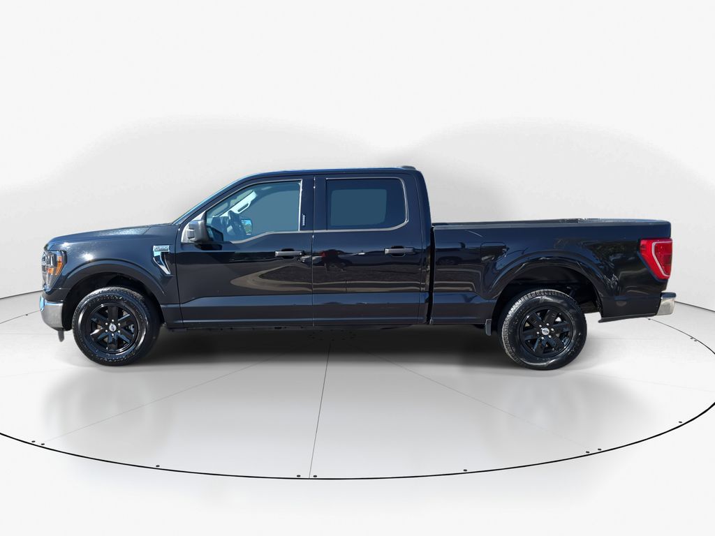 2023 Black Metallic Ford F-150 XLT RWD Truck