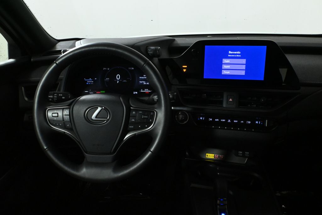 2025 Lexus UX 300h 17